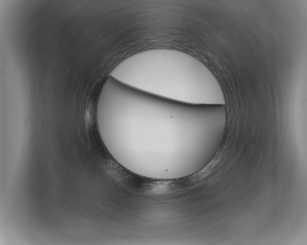 X0000112900090200908211059