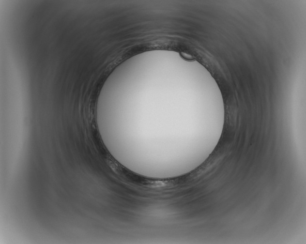 X0000112900091200908211059
