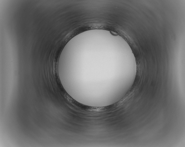 X0000112900093200908211059