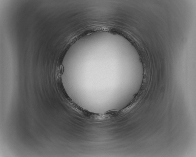 X0000112900096200908211059