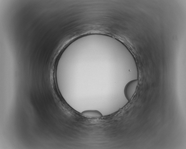 X0000112900098200908211058