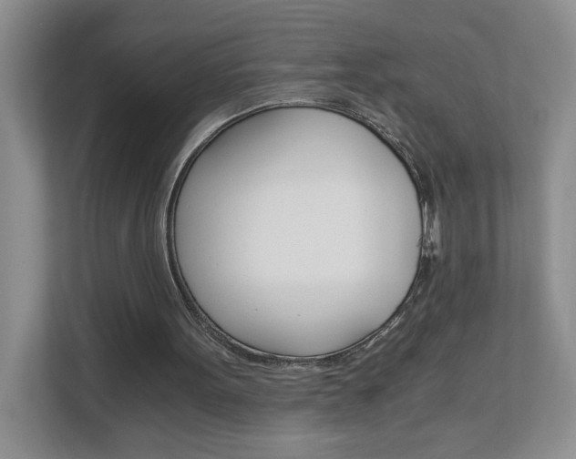 X0000112900099200908211058