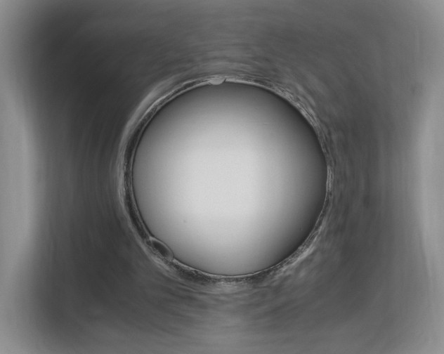 X0000112900101200908211058