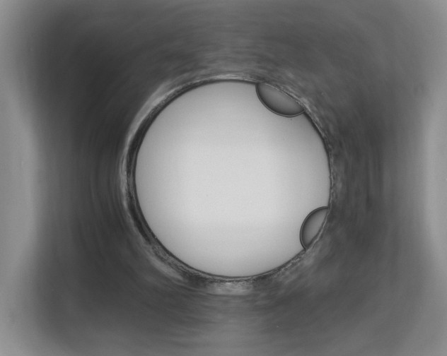X0000112900102200908211058