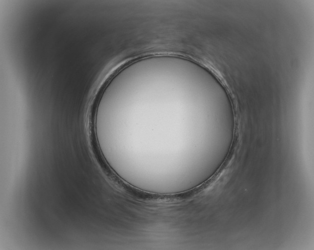 X0000112900103200908211058