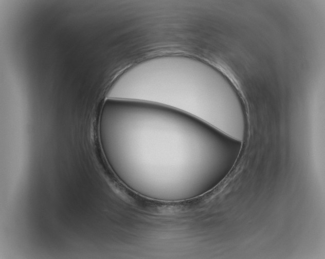X0000112900105200908211058