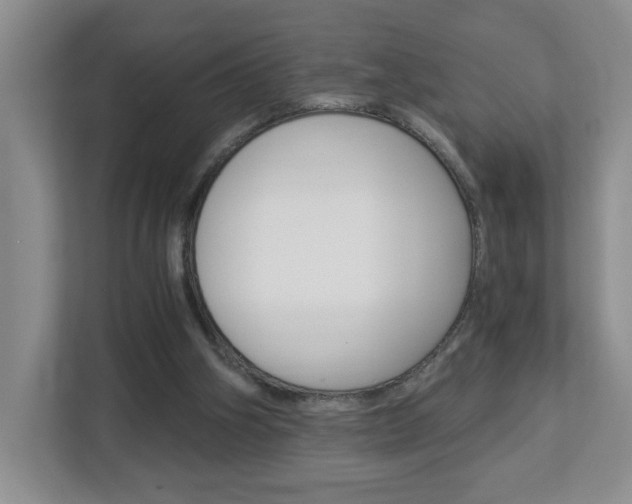 X0000112900106200908211058