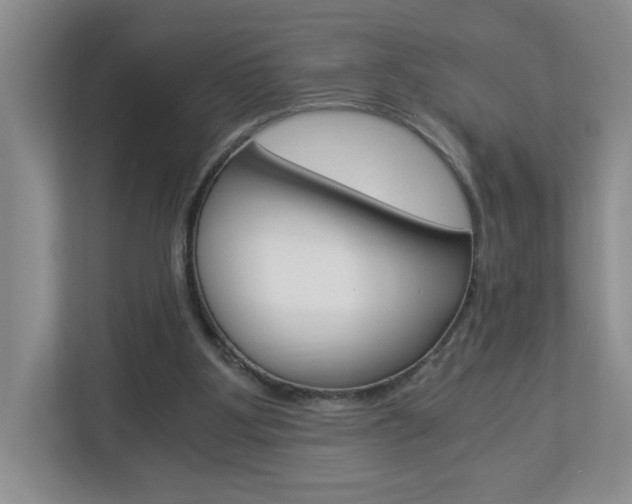 X0000112900107200908211058