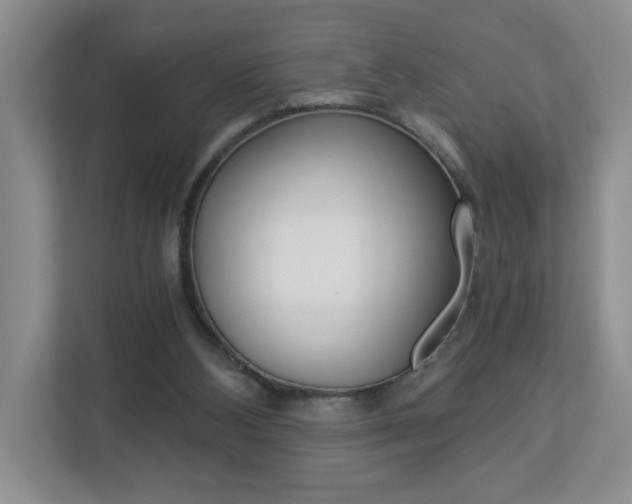 X0000112900108200908211058