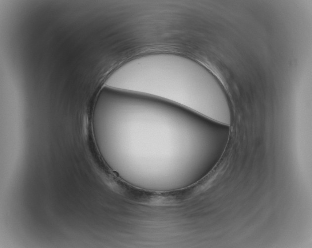 X0000112900109200908211058