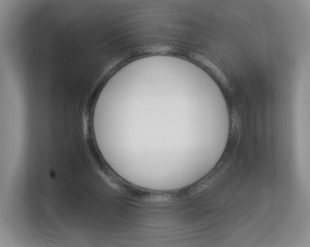X0000112900110200908211058