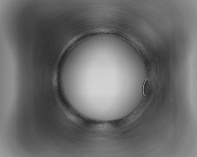 X0000112900112200908211058