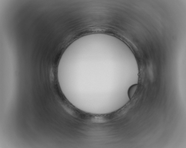 X0000112900114200908211058