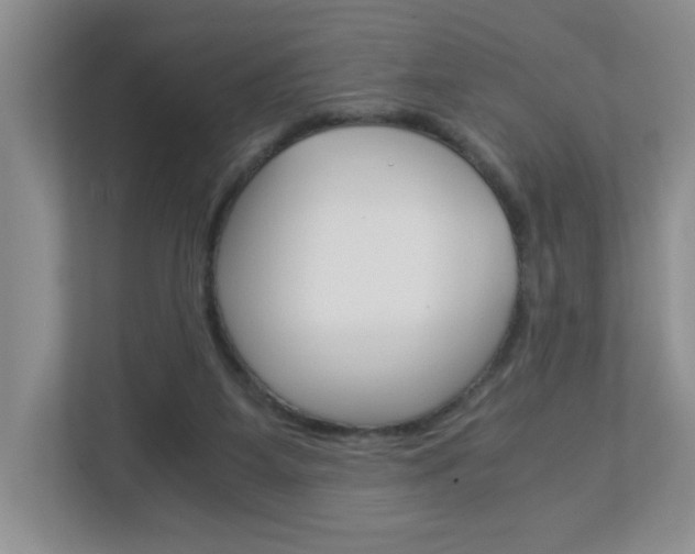 X0000112900115200908211058