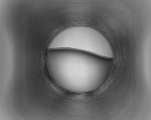 X0000112900116200908211058