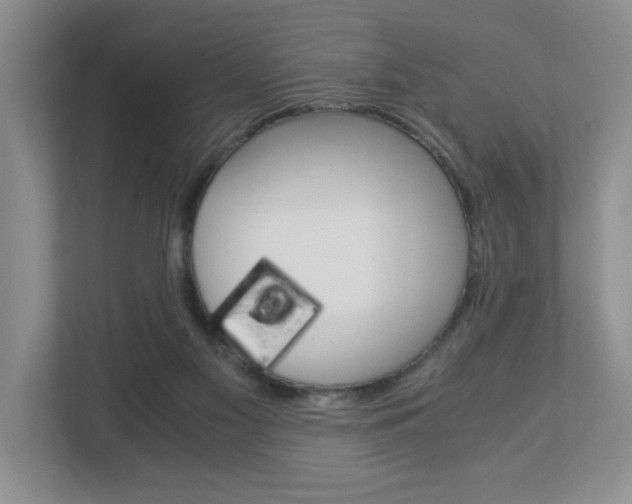 X0000112900117200908211058