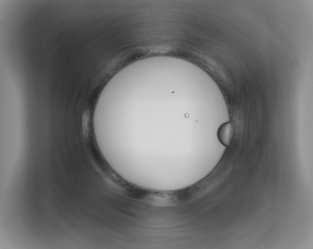 X0000112900118200908211058