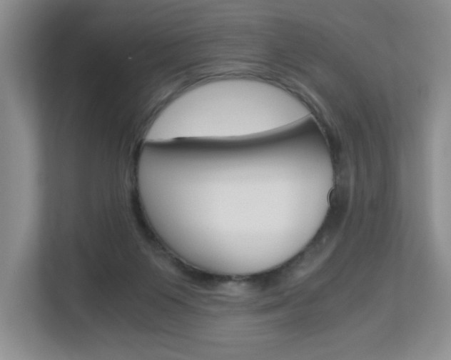 X0000112900119200908211058