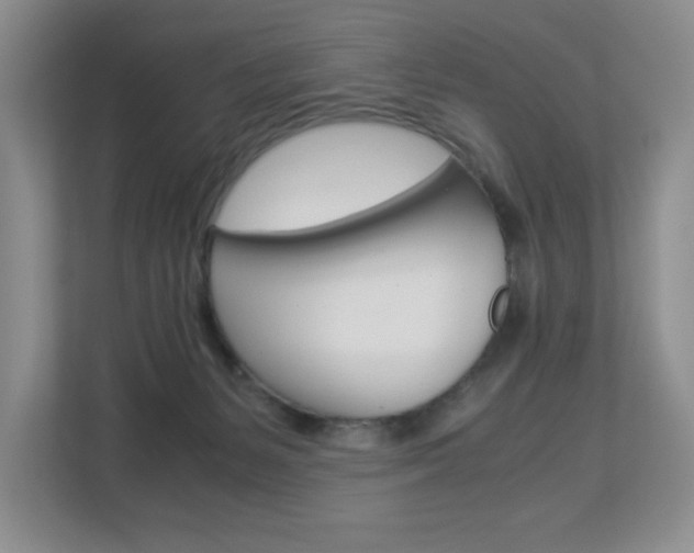 X0000112900127200908211058