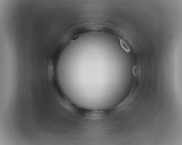 X0000112900128200908211058