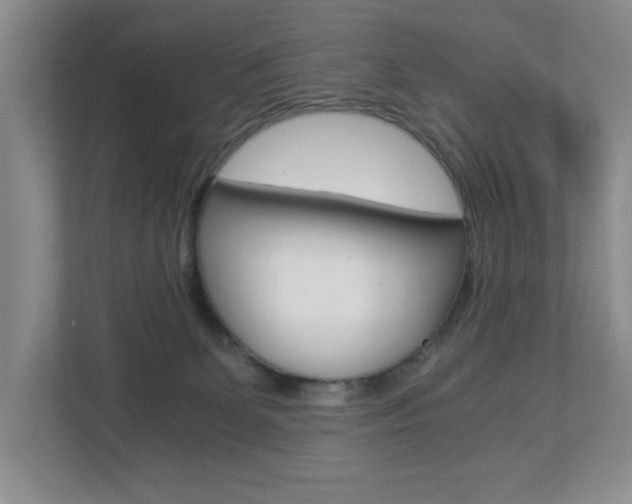 X0000112900131200908211058