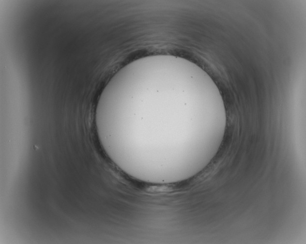 X0000112900133200908211058