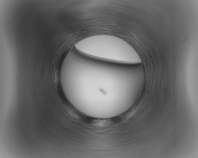X0000112900135200908211058