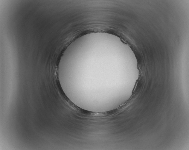X0000112900141200908211058