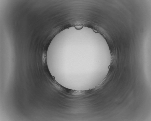 X0000112900142200908211058