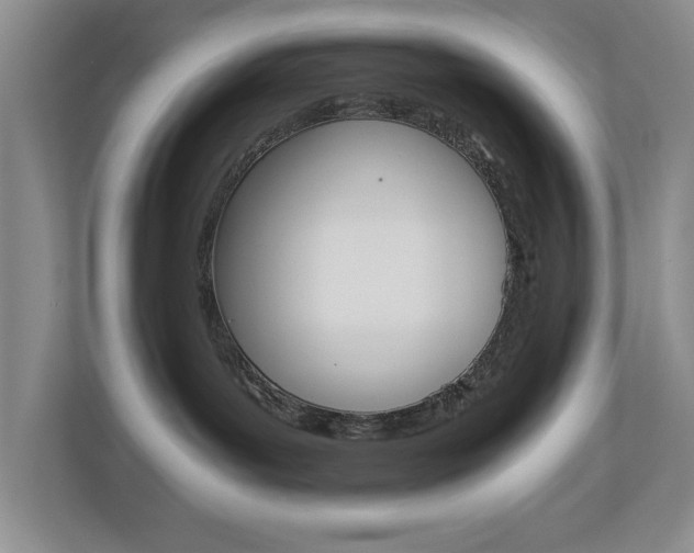 X0000112900143200908211058