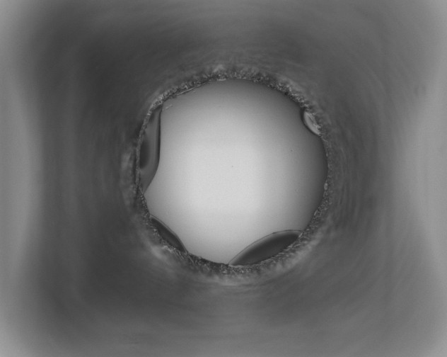 X0000112900144200908211058