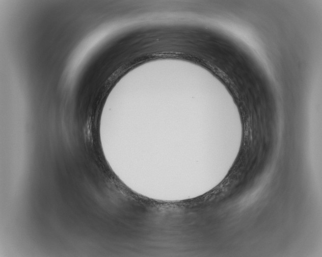 X0000112900146200908211057