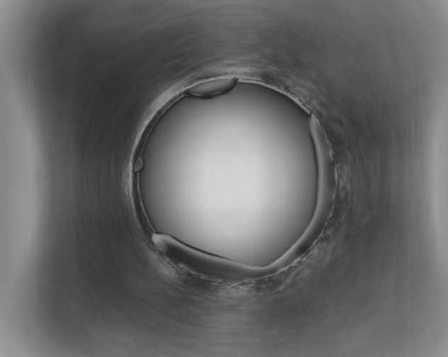 X0000112900148200908211057