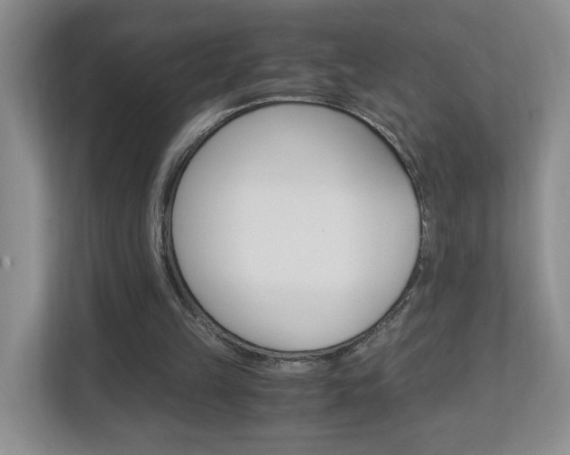 X0000112900149200908211057