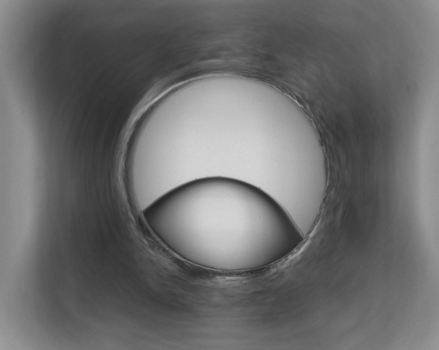 X0000112900150200908211057