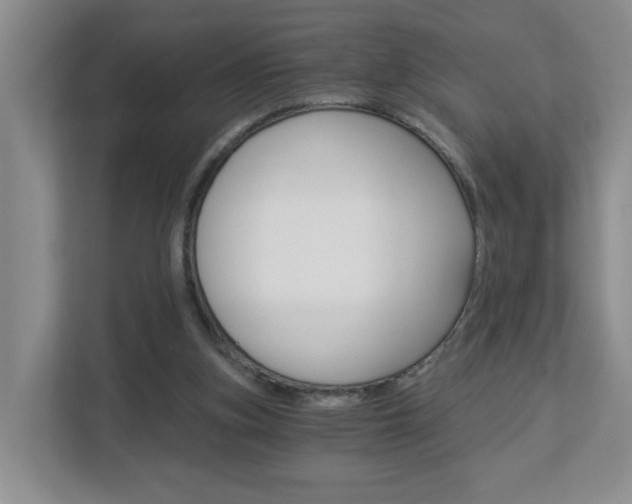 X0000112900155200908211057