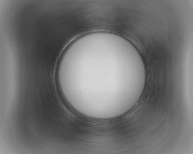 X0000112900156200908211057