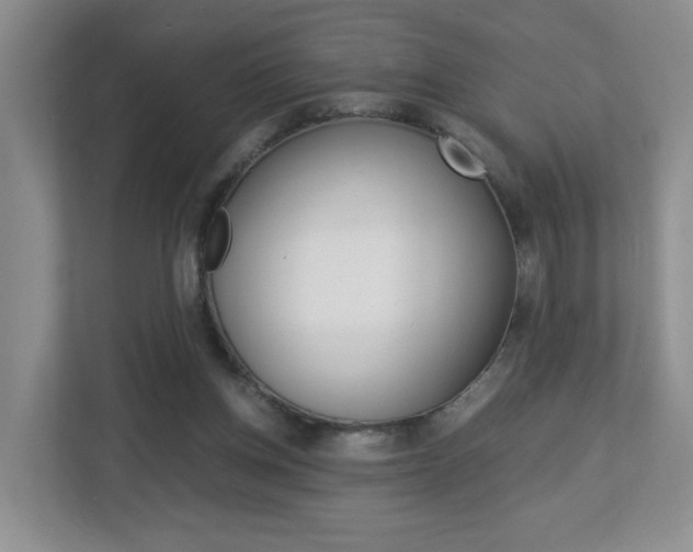 X0000112900158200908211057