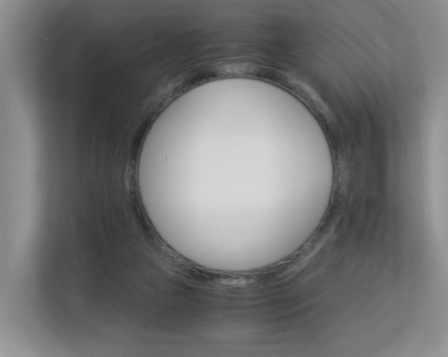 X0000112900161200908211057
