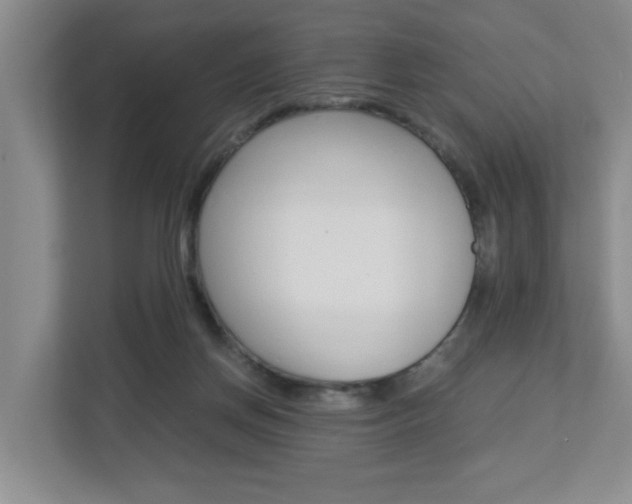 X0000112900166200908211057