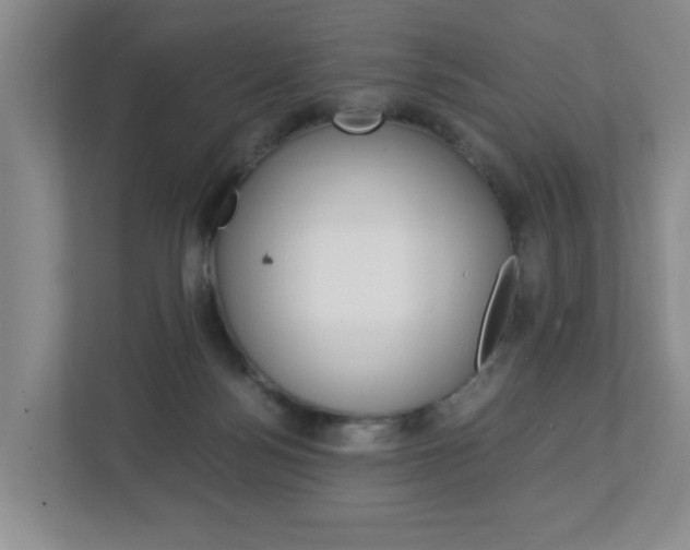 X0000112900172200908211057