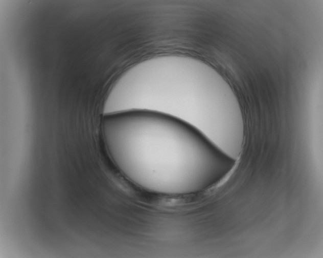 X0000112900174200908211057