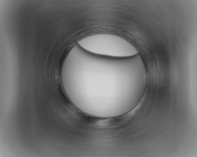 X0000112900178200908211057