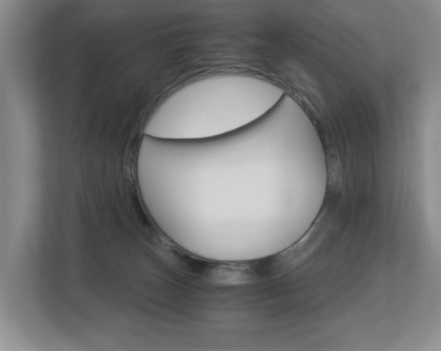 X0000112900179200908211057