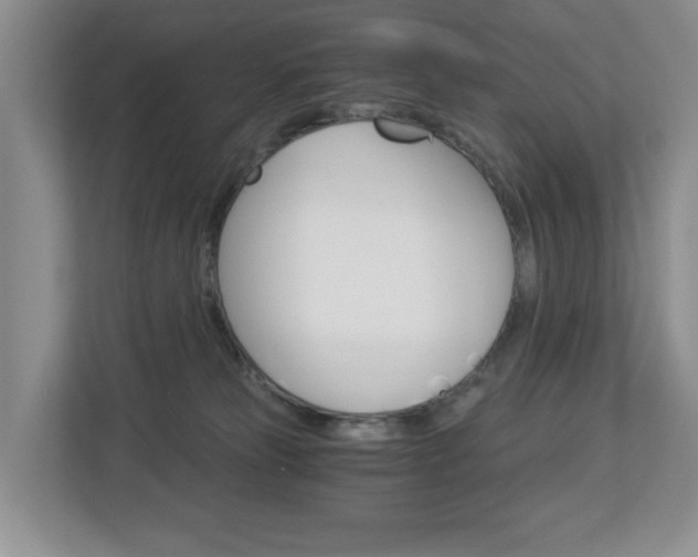 X0000112900181200908211057