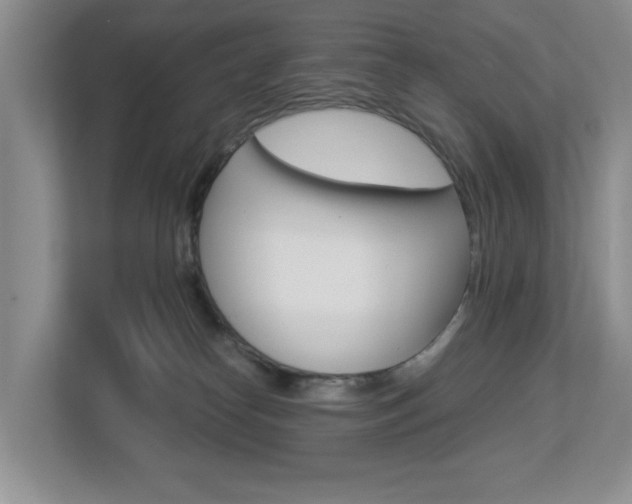 X0000112900182200908211057