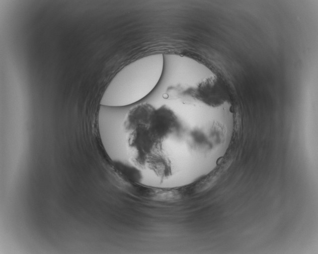 X0000112900185200908211057