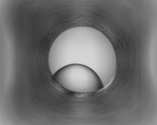 X0000112900186200908211057