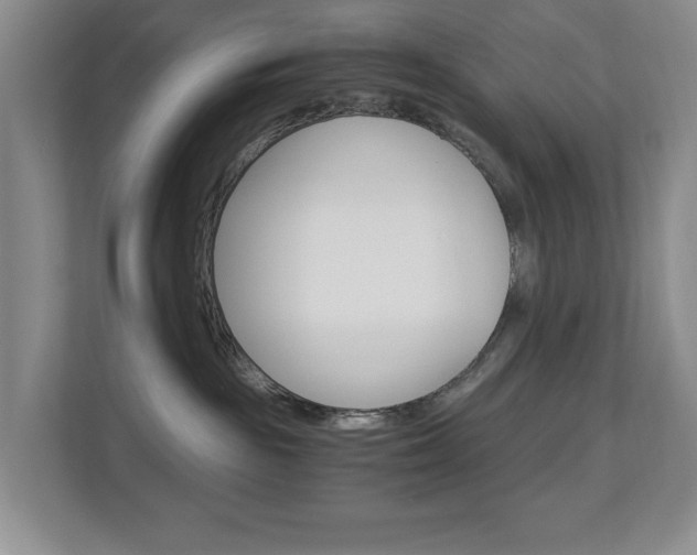 X0000112900189200908211058