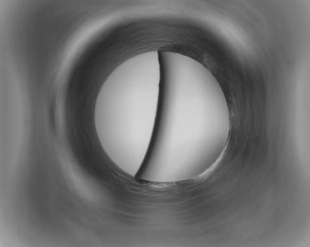 X0000112900190200908211058